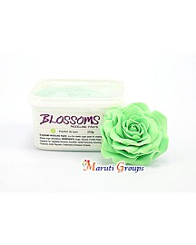 BLOSSOMS Gum Paste: Pastel Green (250g)